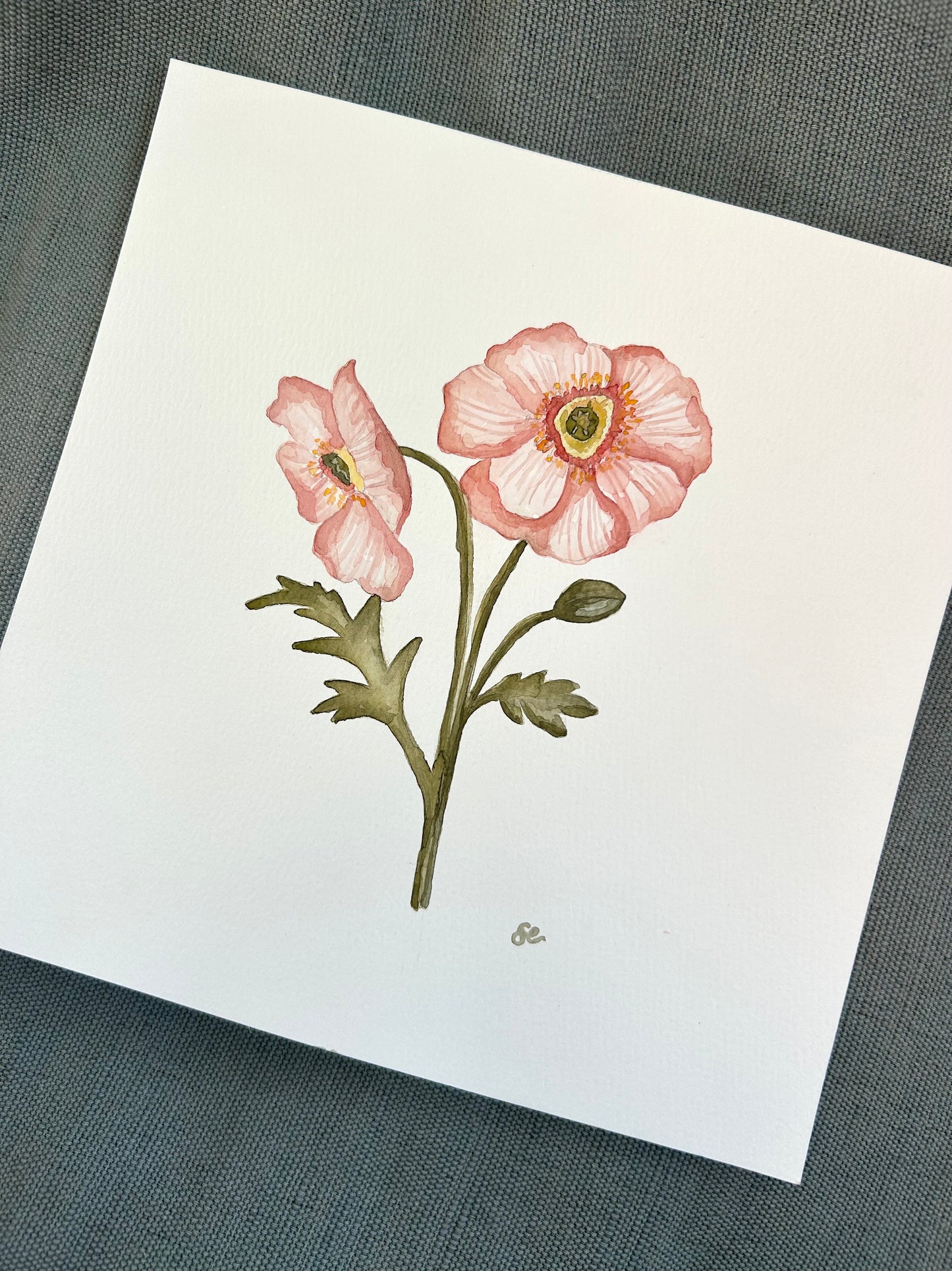 ‘Pink Poppies’ Watercolour