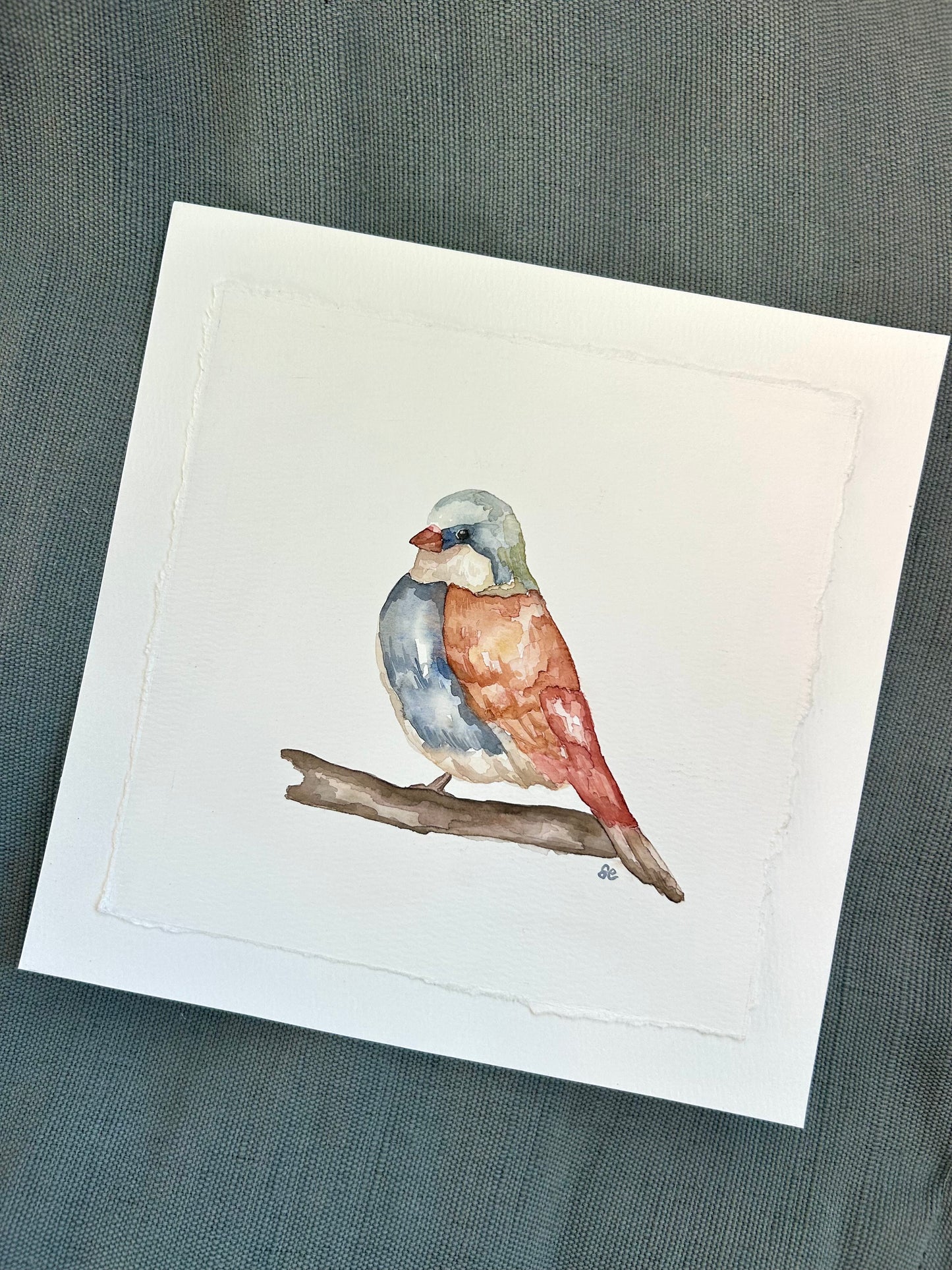 ‘Little Finch’ Watercolour