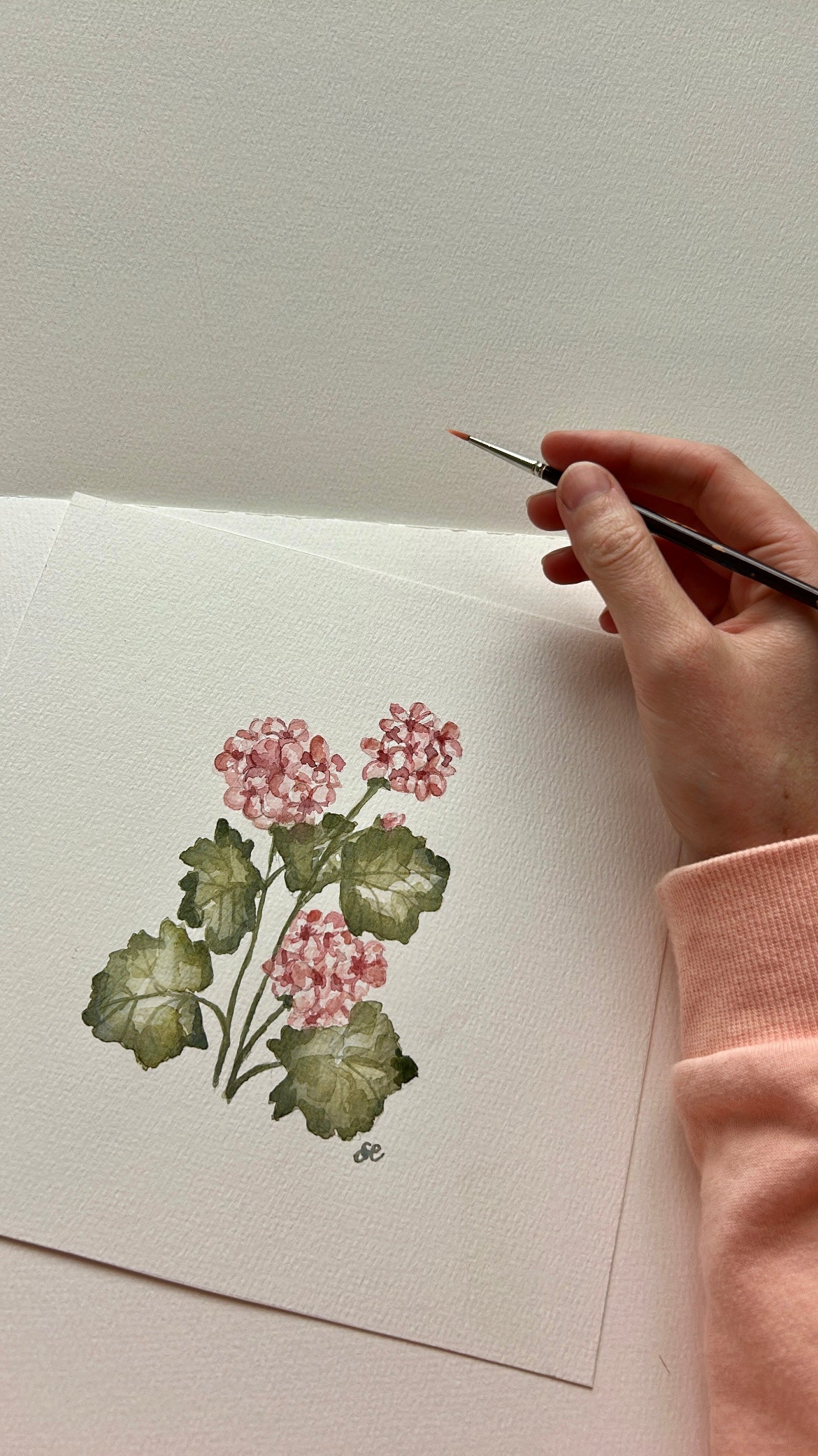 ‘Geranium’ Watercolour