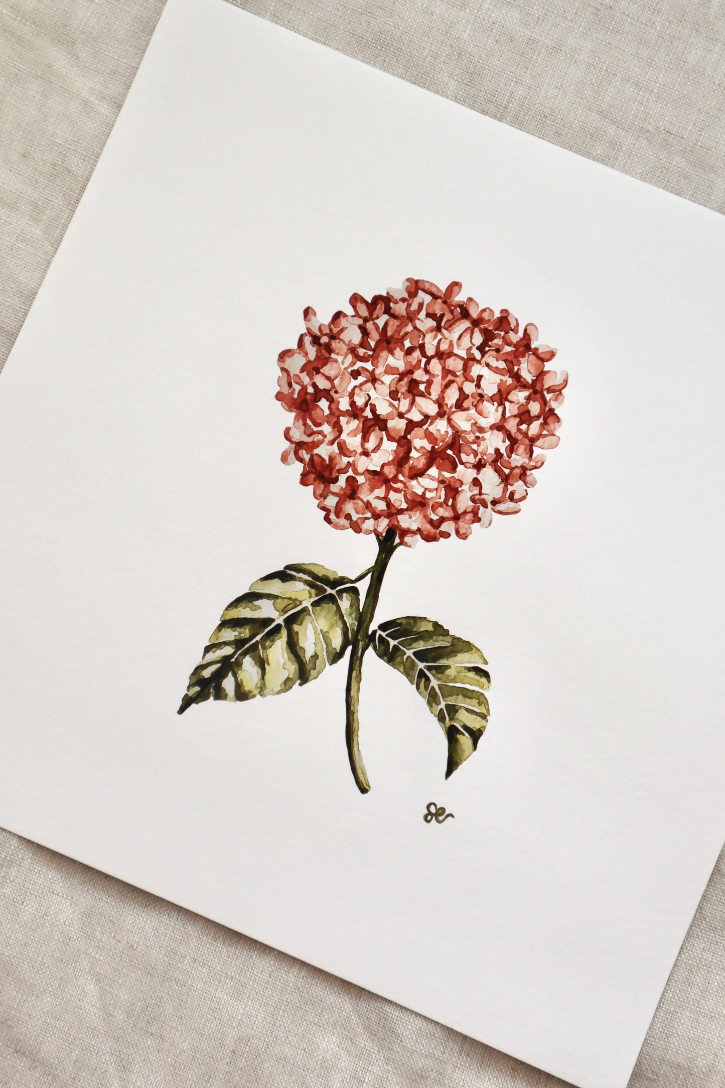 'Hydrangea' Watercolour Print