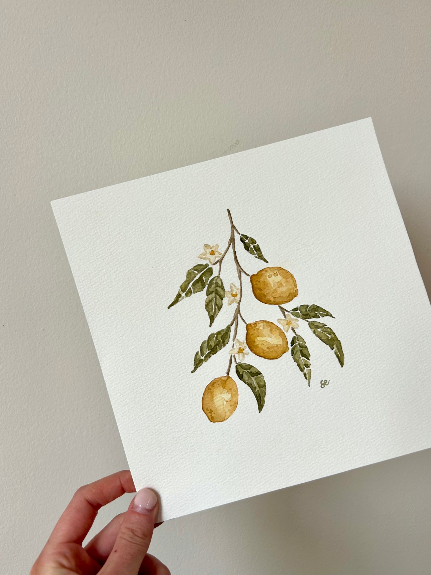 ‘Lemon Tree’ Watercolour