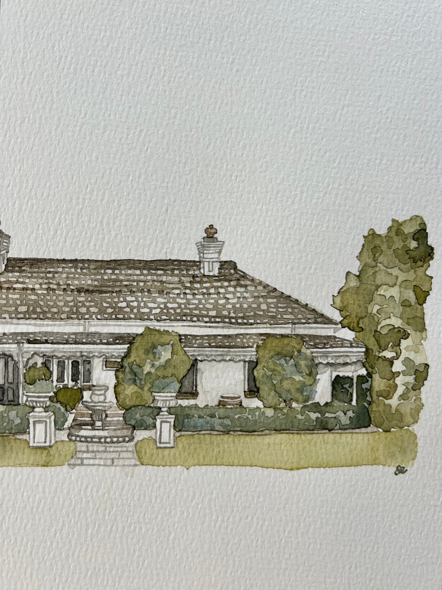 Ravensthorpe Original Watercoloir