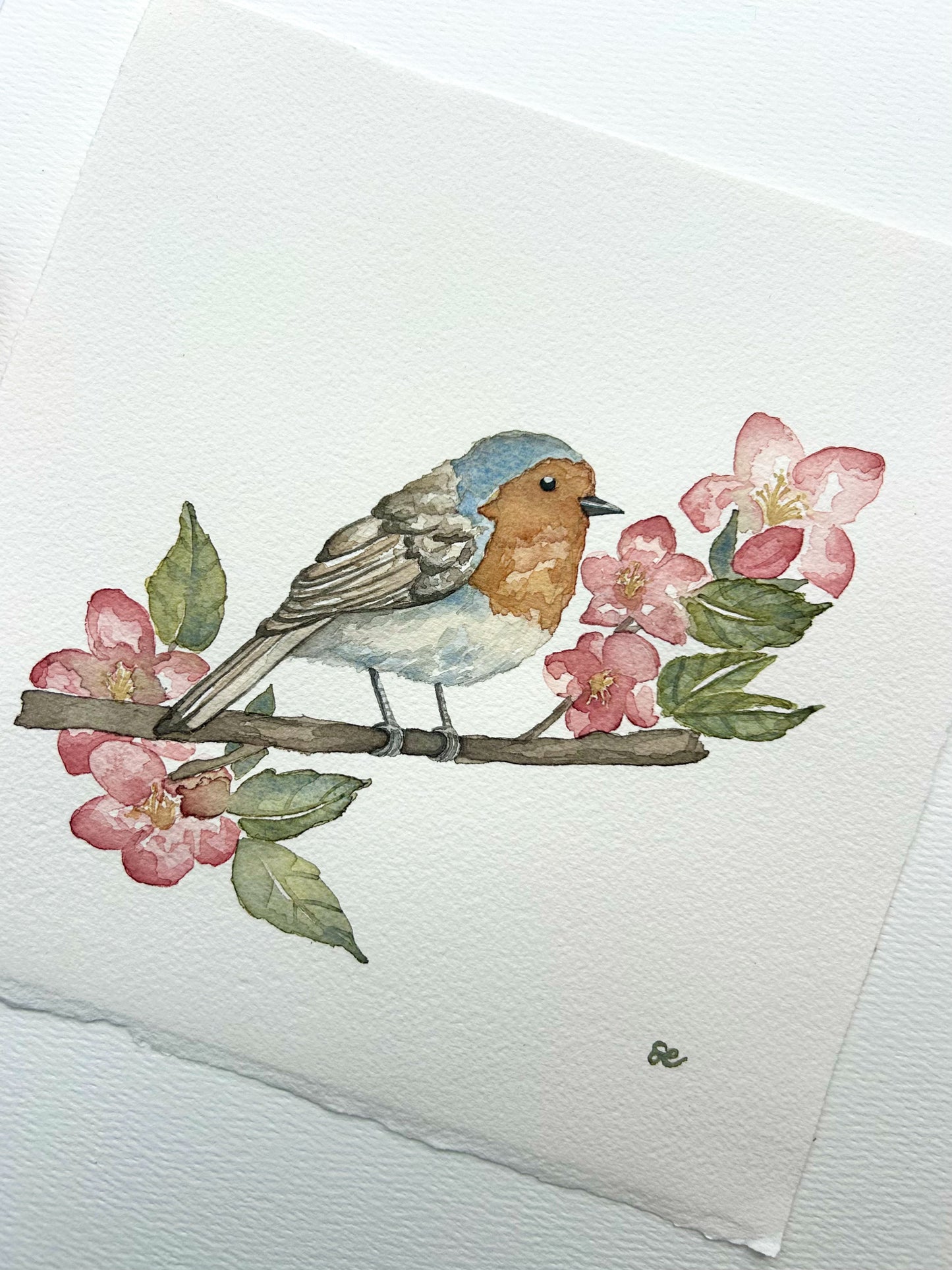 ‘Finch in the Blossoms’ Watercolour