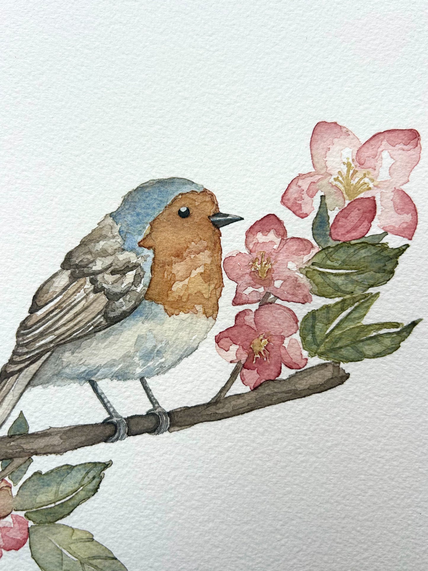 ‘Finch in the Blossoms’ Watercolour