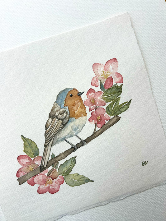 ‘Finch in the Blossoms’ Watercolour