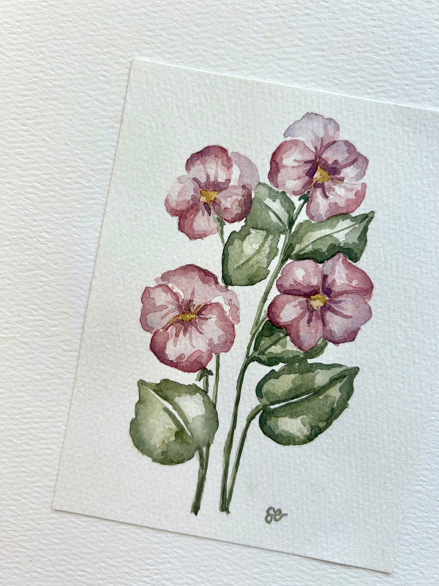 ‘Sweet Pansies’ Watercolour