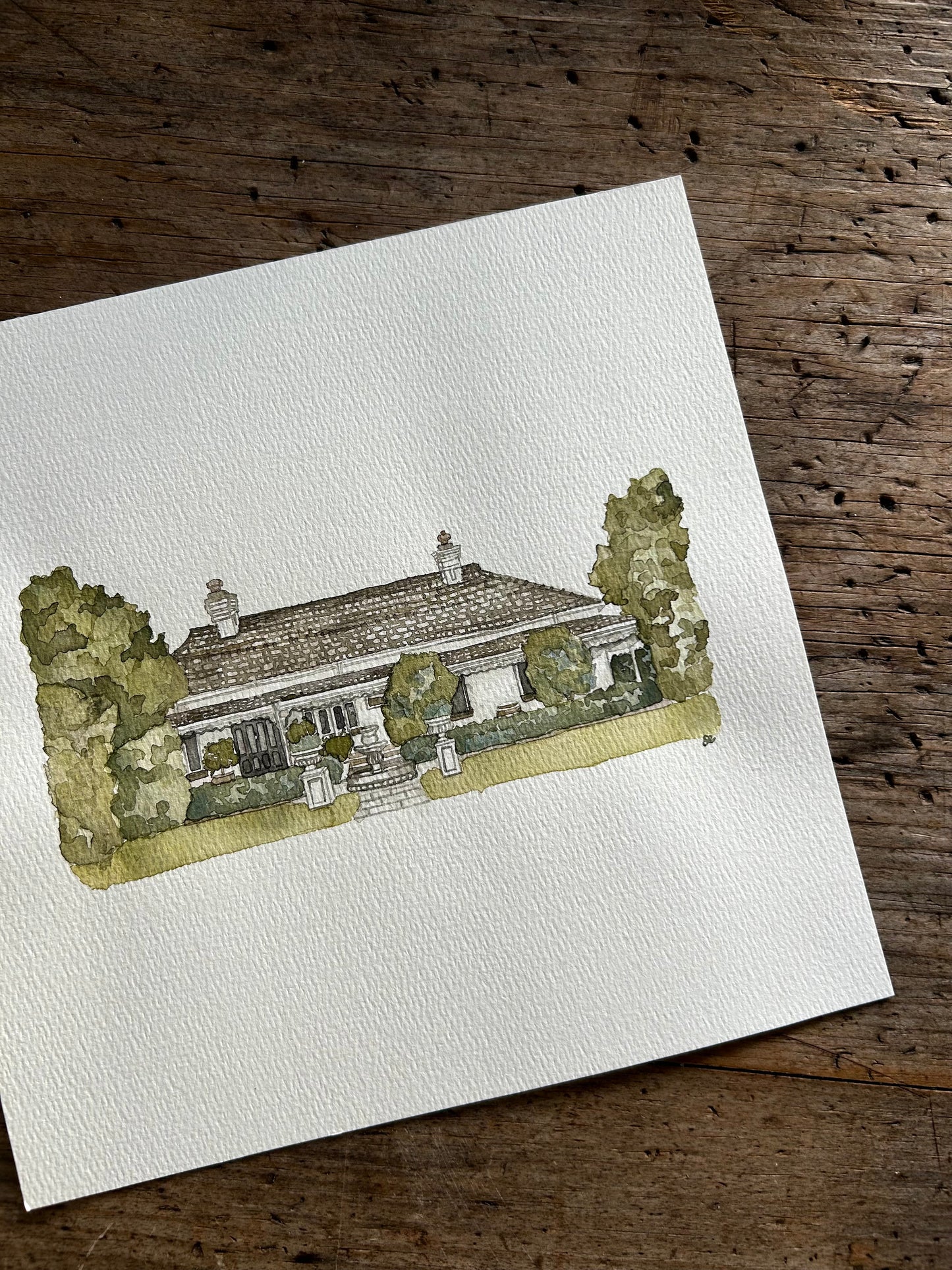 Ravensthorpe Original Watercoloir
