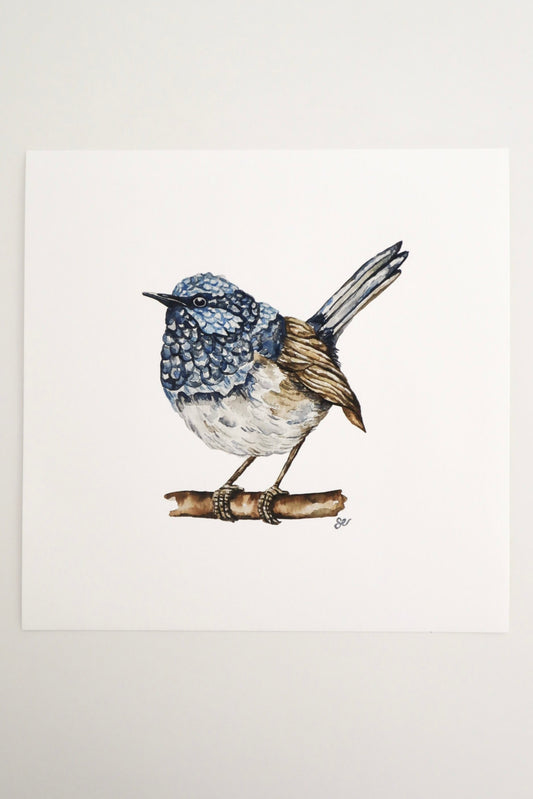 'Blue Wren' Watercolour Print