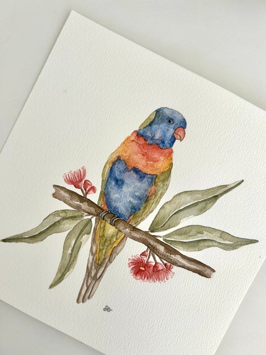 Rainbow Lorikeet Watercolour