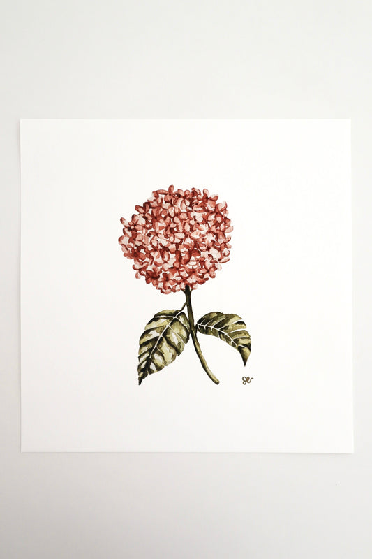 'Hydrangea' Watercolour Print