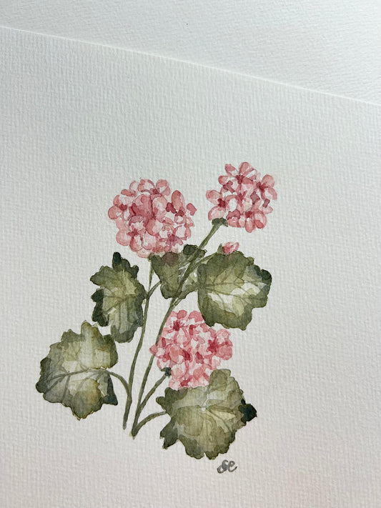 ‘Geranium’ Watercolour