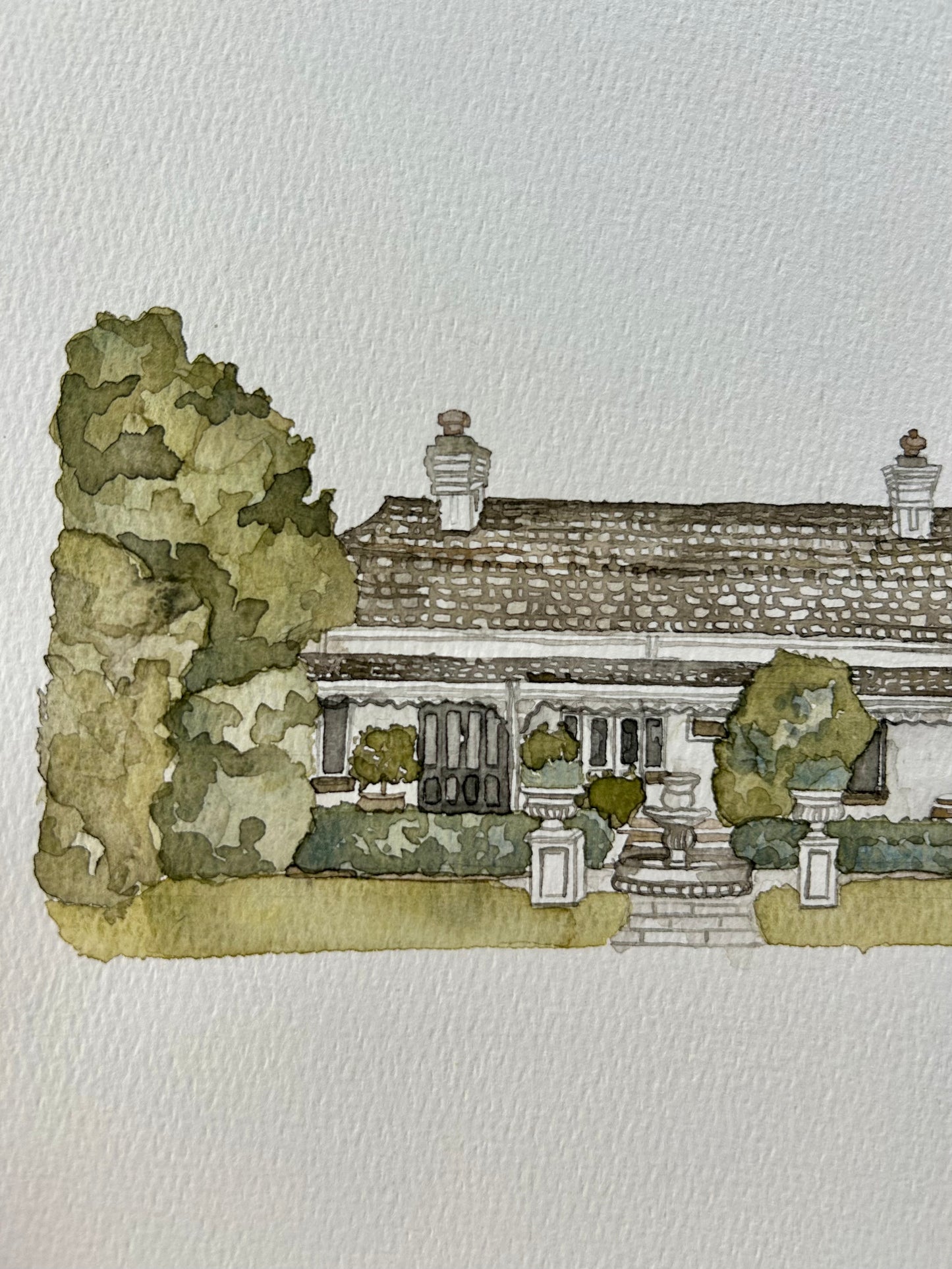 Ravensthorpe Original Watercoloir