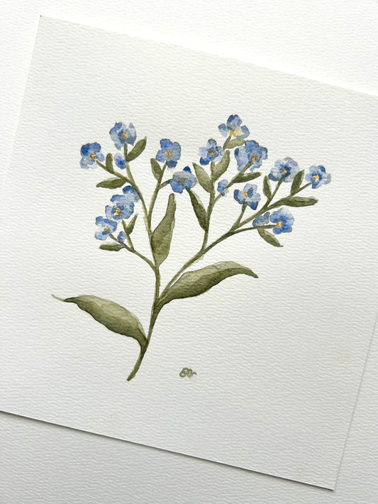 ‘Forget-Me-Not’ Watercolour