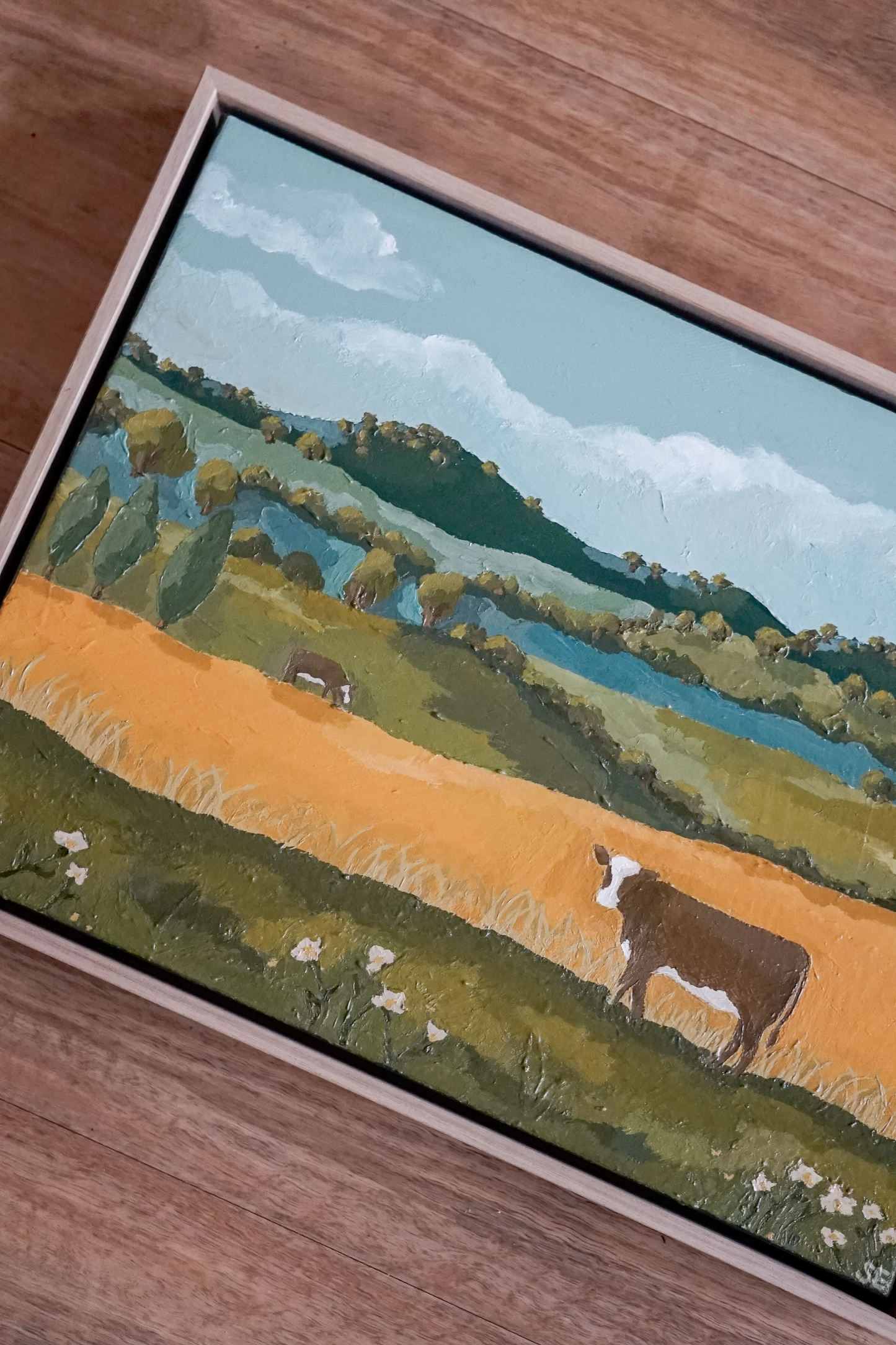 ‘Our Backyard’