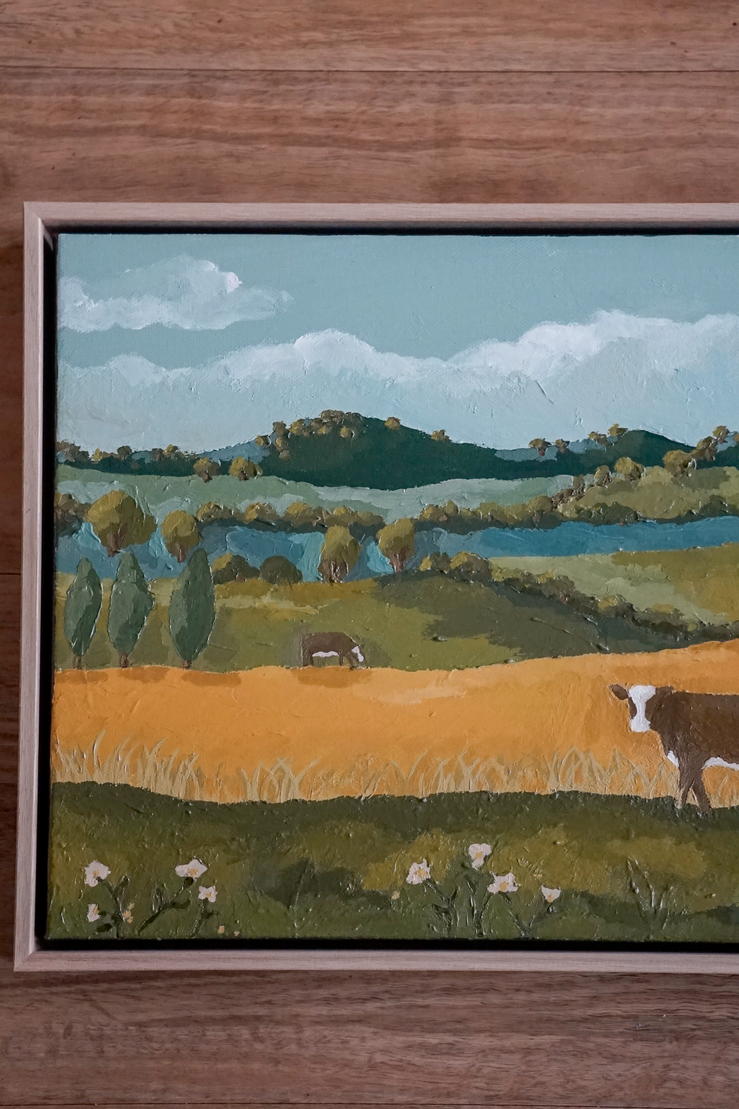 ‘Our Backyard’