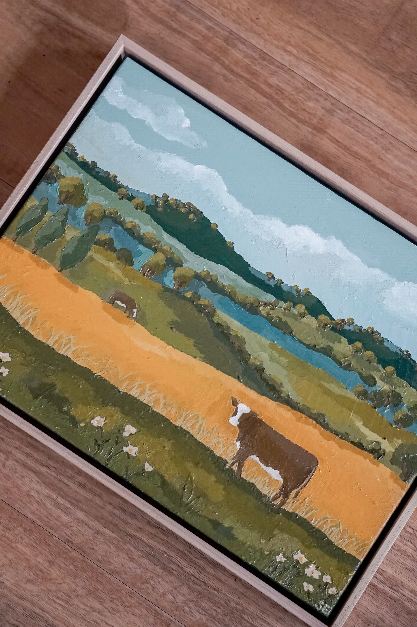 ‘Our Backyard’