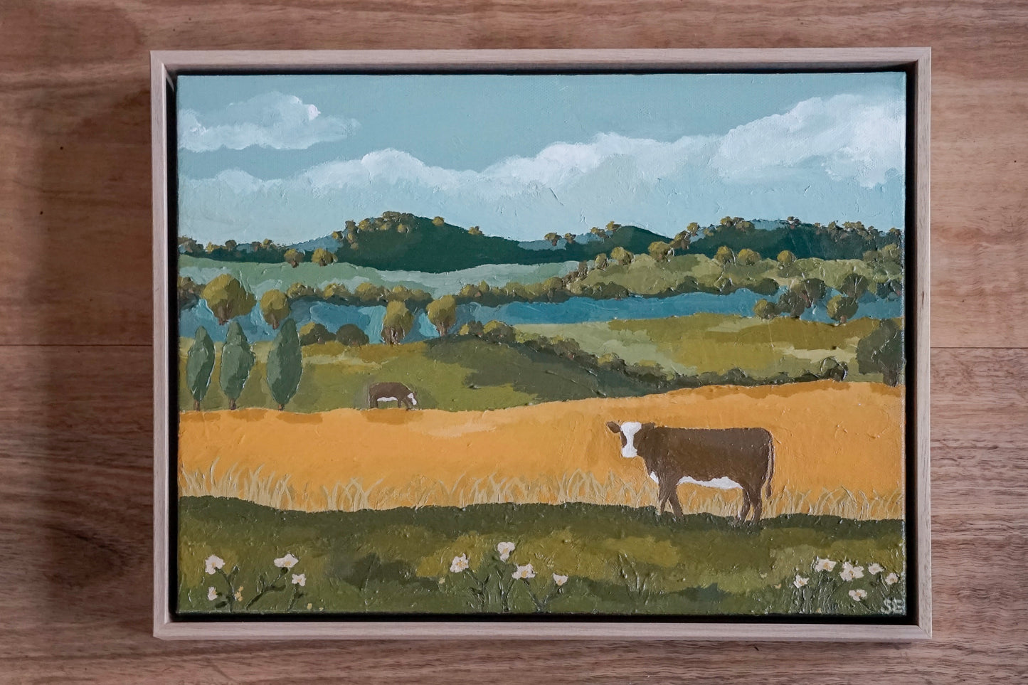 ‘Our Backyard’