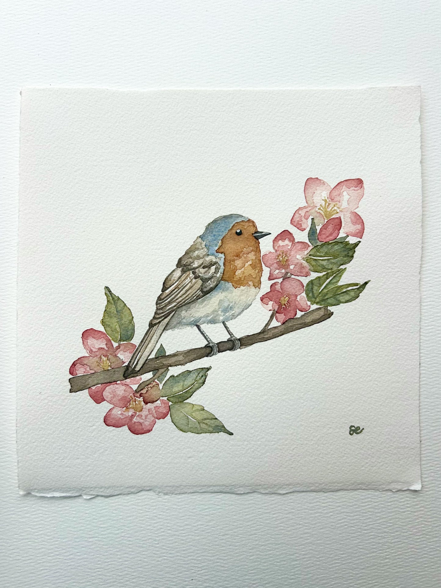 ‘Finch in the Blossoms’ Watercolour