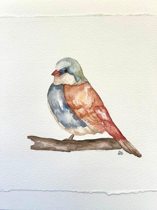 ‘Little Finch’ Watercolour
