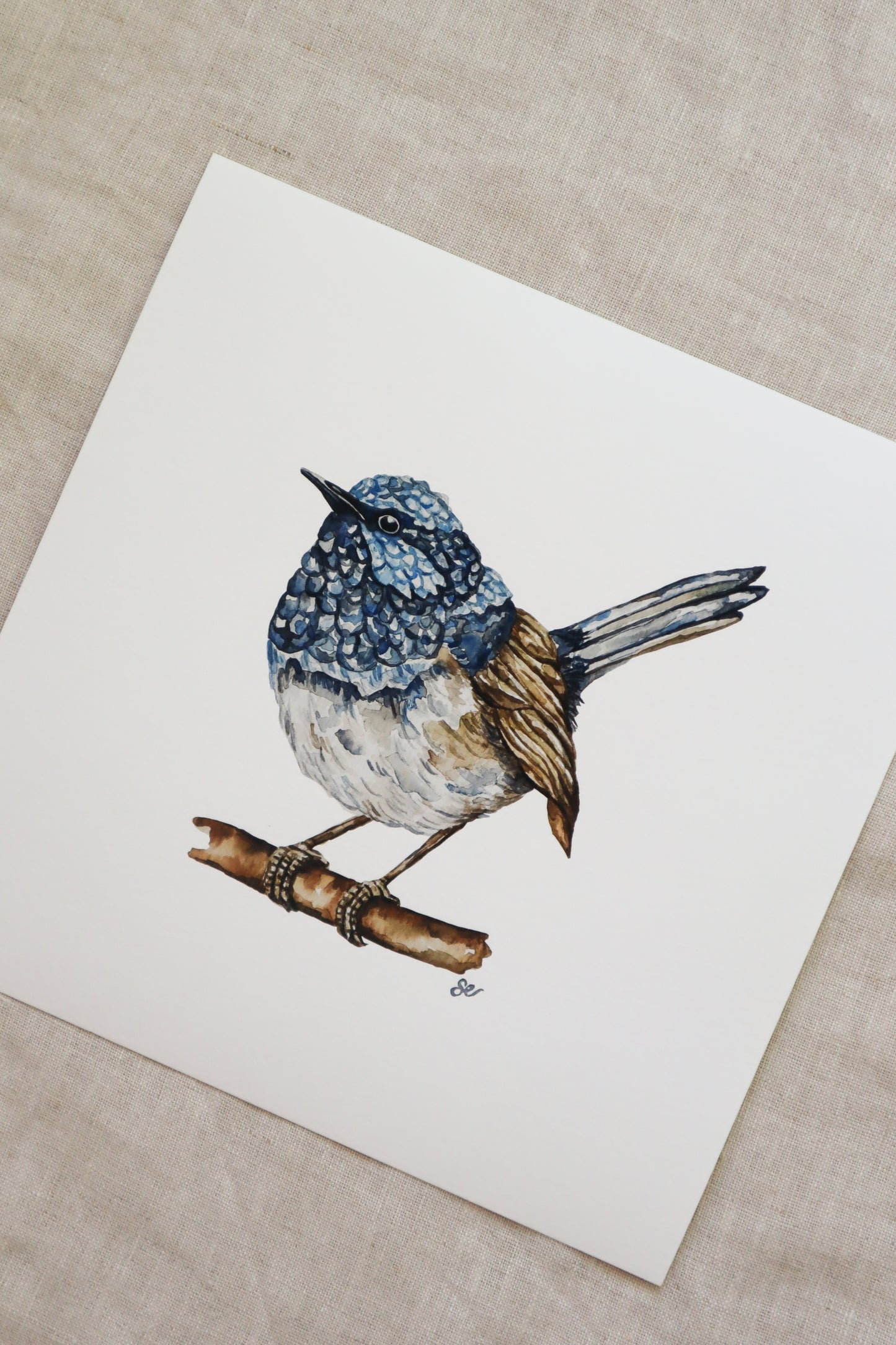 'Blue Wren' Watercolour Print