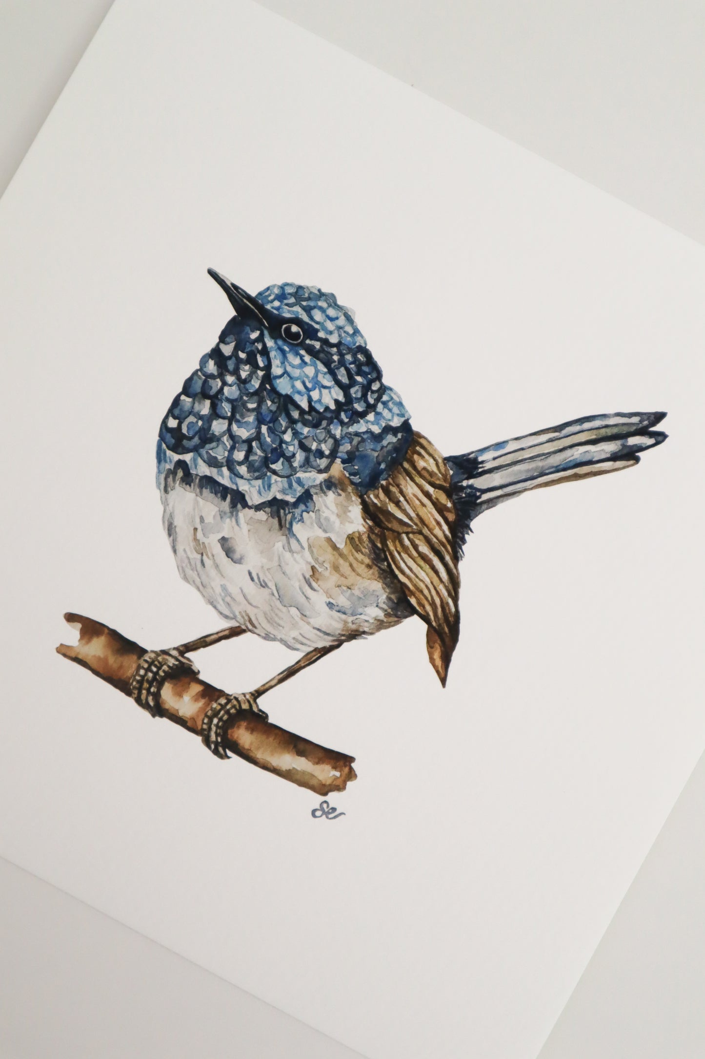 'Blue Wren' Watercolour Print